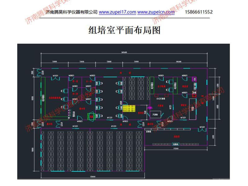 在线观看国产麻豆室