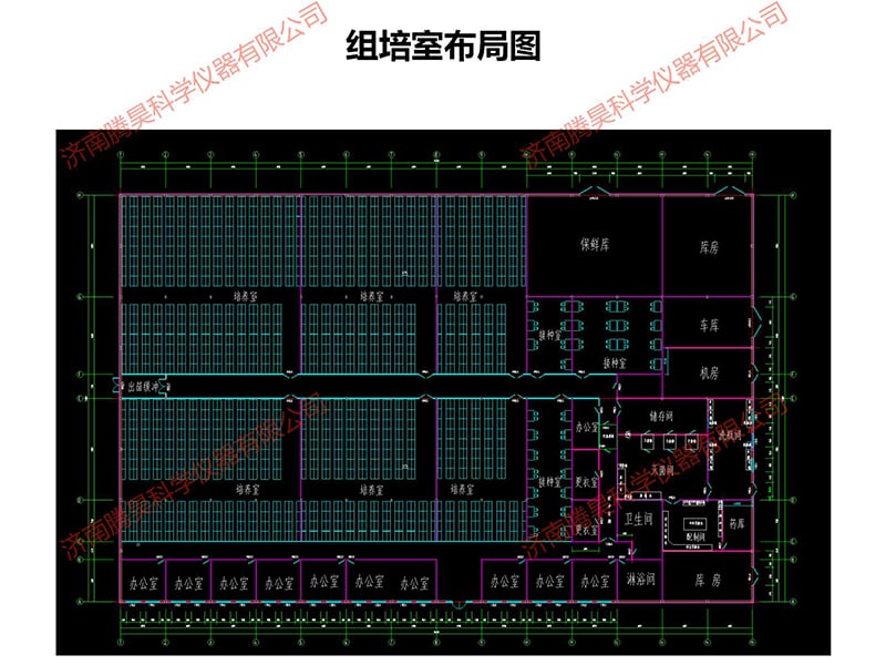 在线观看国产麻豆室