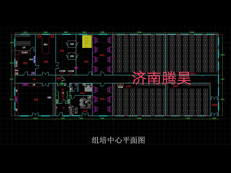 在线观看国产麻豆  在线观看国产麻豆室