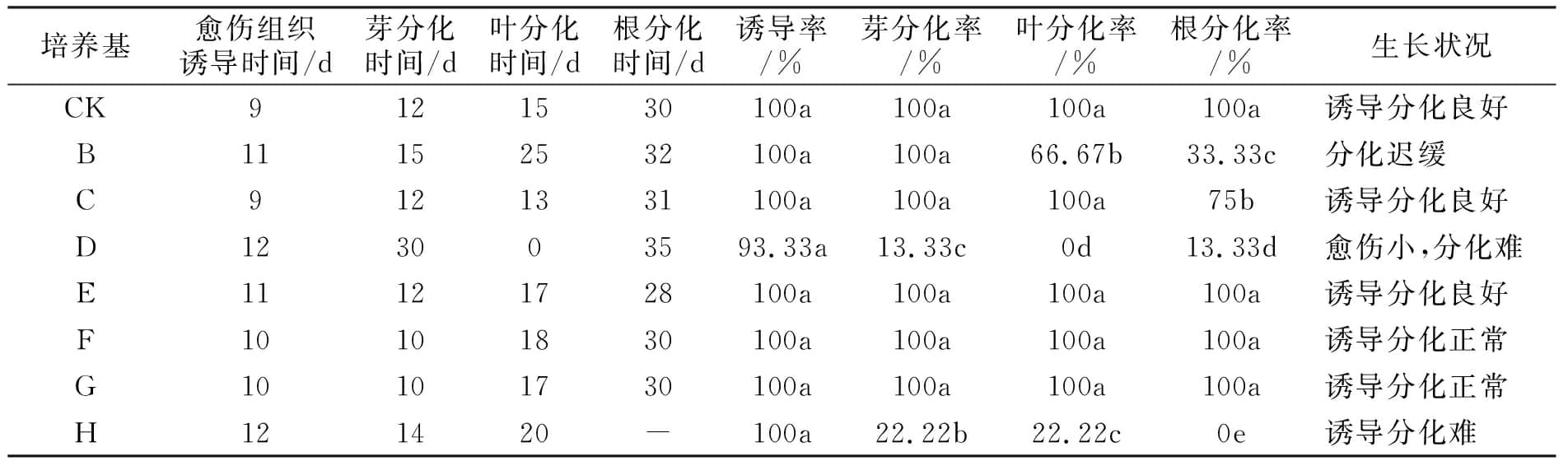 在线观看国产麻豆设计图