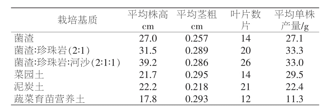 在线观看国产麻豆室设计