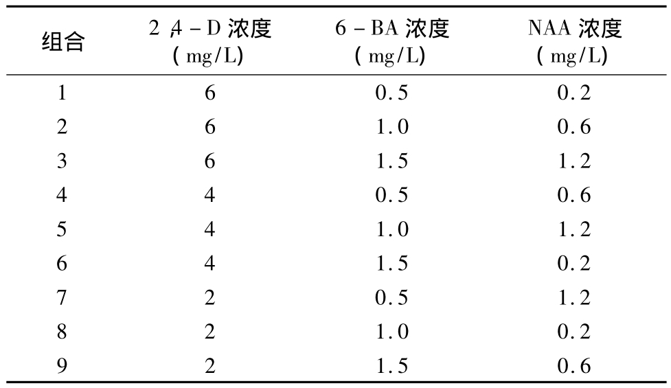 柳枝稷种子在线观看国产麻豆快繁技术