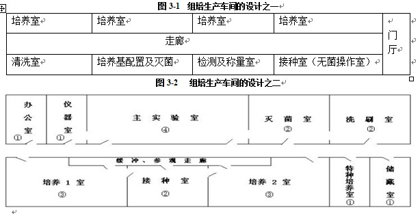 在线观看国产麻豆室设计