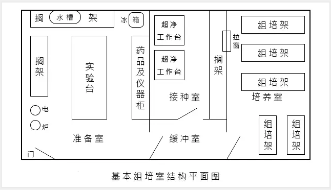 在线观看国产麻豆室建设